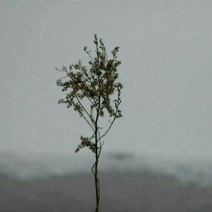 啊啊啊乳头好大 妈妈好爽啊快 要射了 啊啊啊
