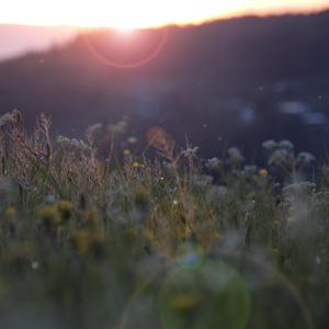 啊啊啊乳头好大 妈妈好爽啊快 要射了 啊啊啊
