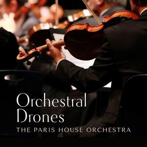 啊啊啊乳头好大 妈妈好爽啊快 要射了 啊啊啊
